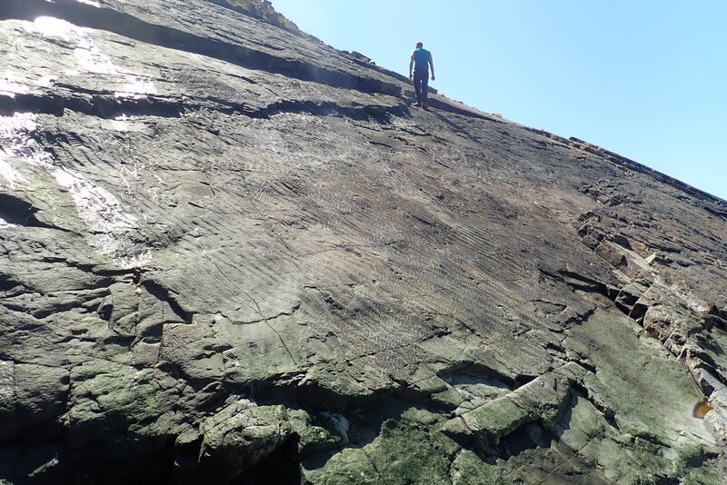 Ripple marks on the floor of the ancient fossil forest (Neil Davies/University of Cambridge)