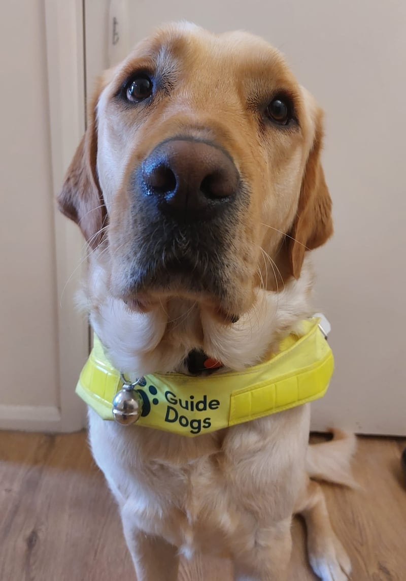 Manager with HIV says volunteering with Guide Dogs changed their life.