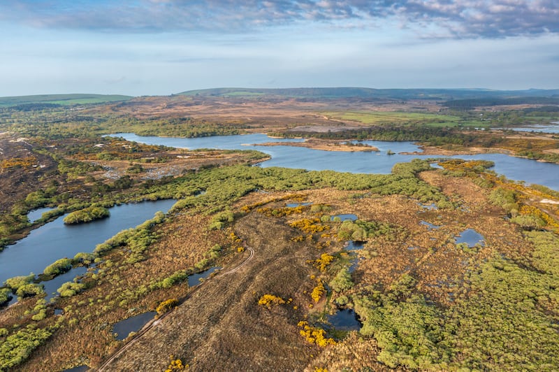 Aerial view of Studland Heath, Dorset, which forms part of the Purbeck Heaths ‘super’ nature reserve