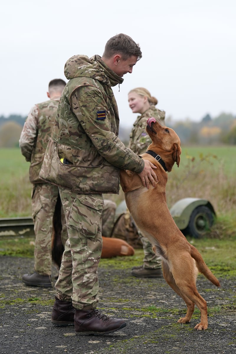 Private McLoughlin with military working dog Grainger