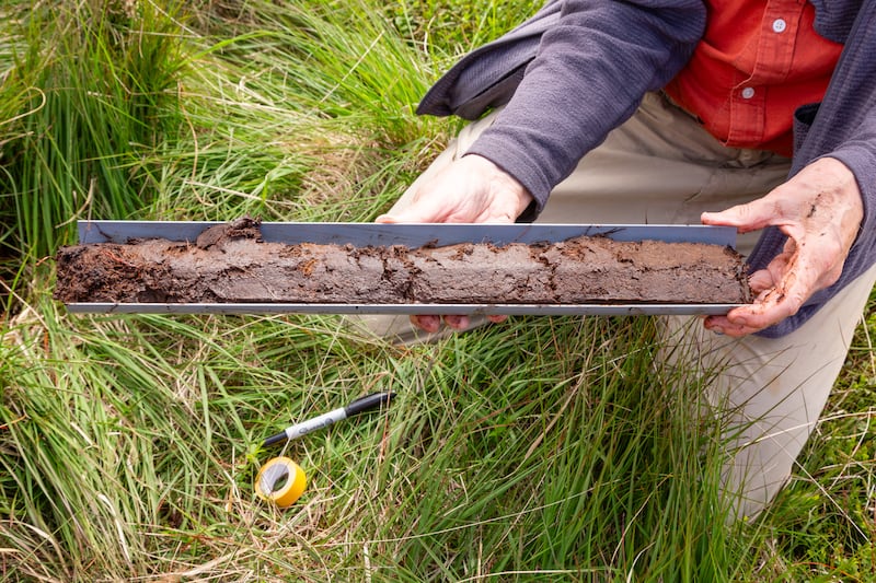 A National Trust ranger extracts peat on Marsden Moor. (David Preston/National Trust)