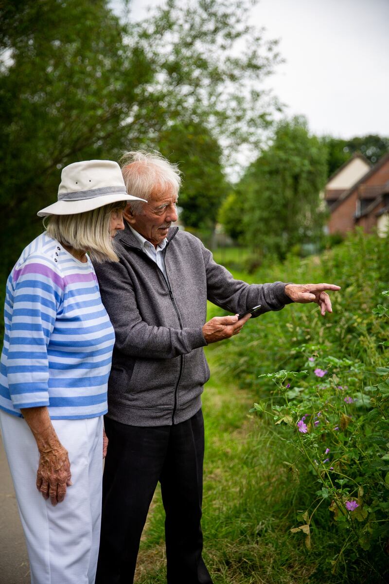 The public are being asked to spend 15 minutes in any sunny spot and record the number and type of butterflies they see