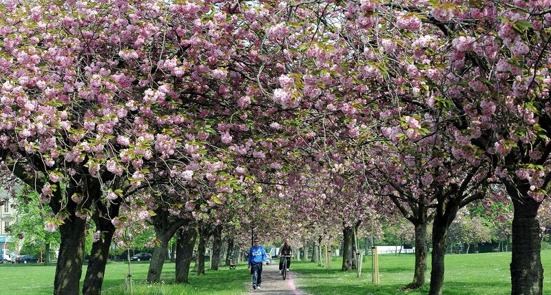 Time out in nature has been championed by campaigners as a way of boosting health