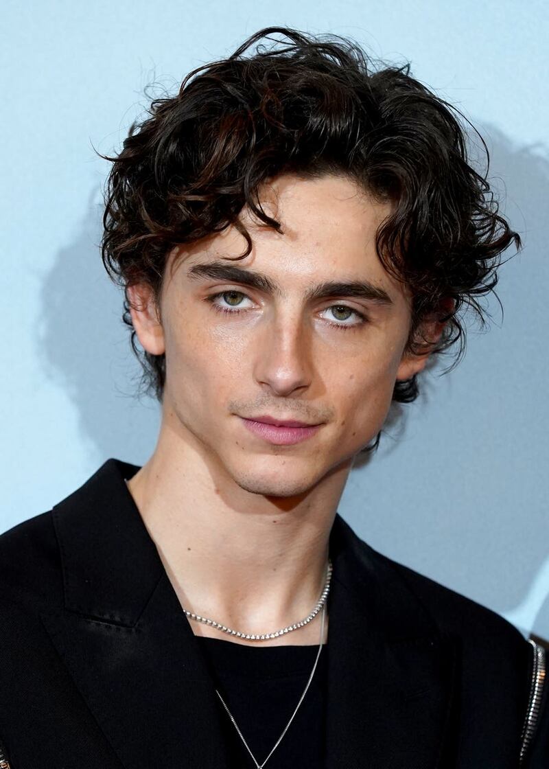 Timothee Chalamet 