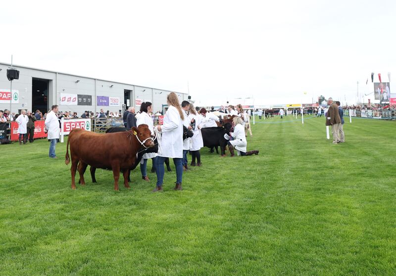 The opening day of the Balmoral Show on Wednesday.
PICTURE COLM LENAGHAN