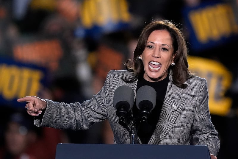 Democratic presidential nominee Vice President Kamala Harris speaks during the Ann Arbor campaign rally (Carlos Osorio/AP)