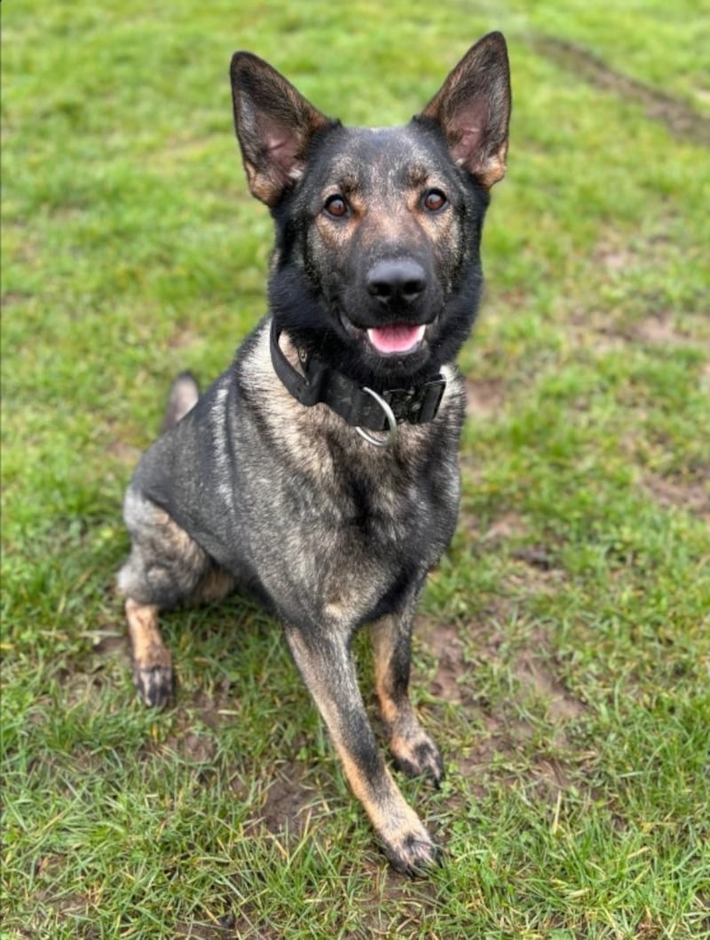 Leicestershire Police PD Zyla, who was confirmed dead after entering the water during a search operation.
