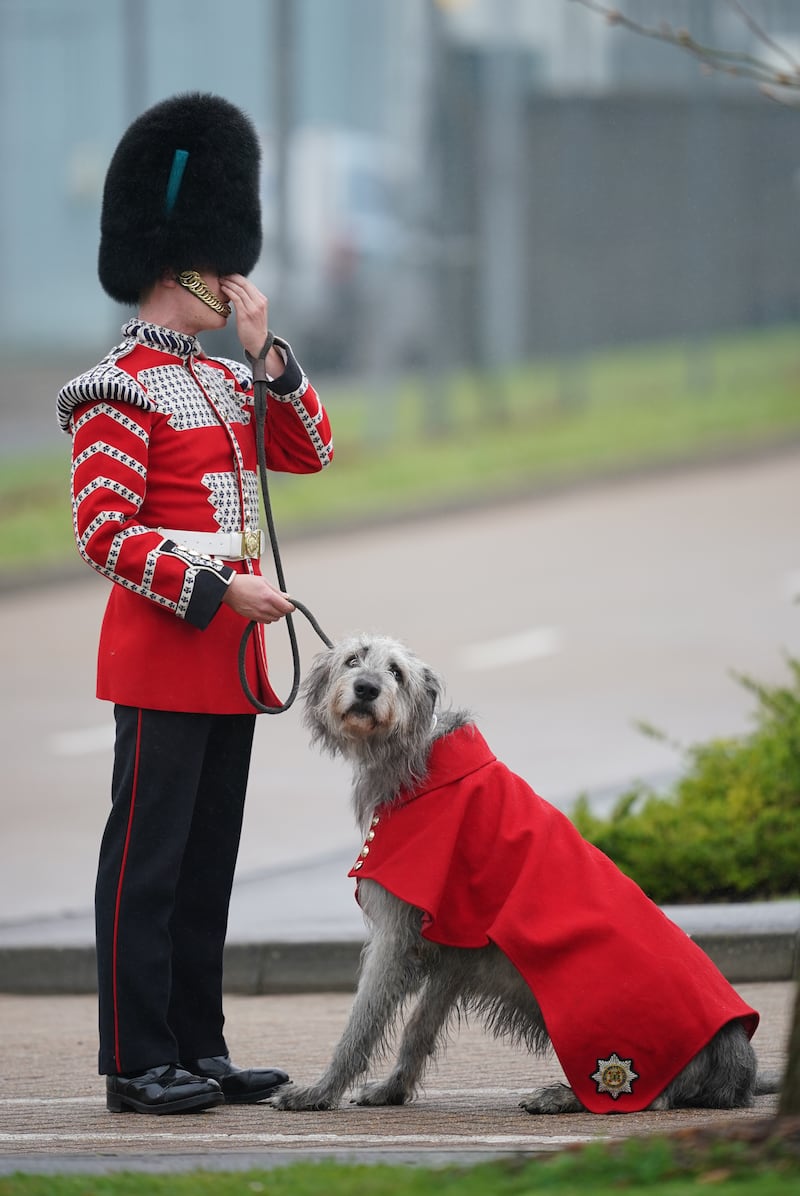 An Irish Guardsmen standing with their mascot Seamus