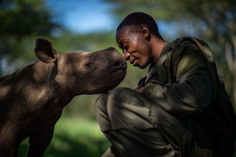 Wildlife Photographer of the Year 2020 winners