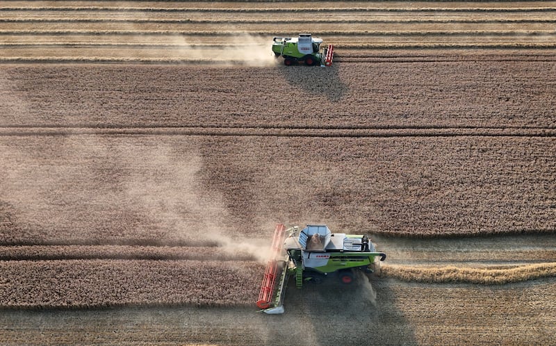 Combine harvesters gather in crops in Kent