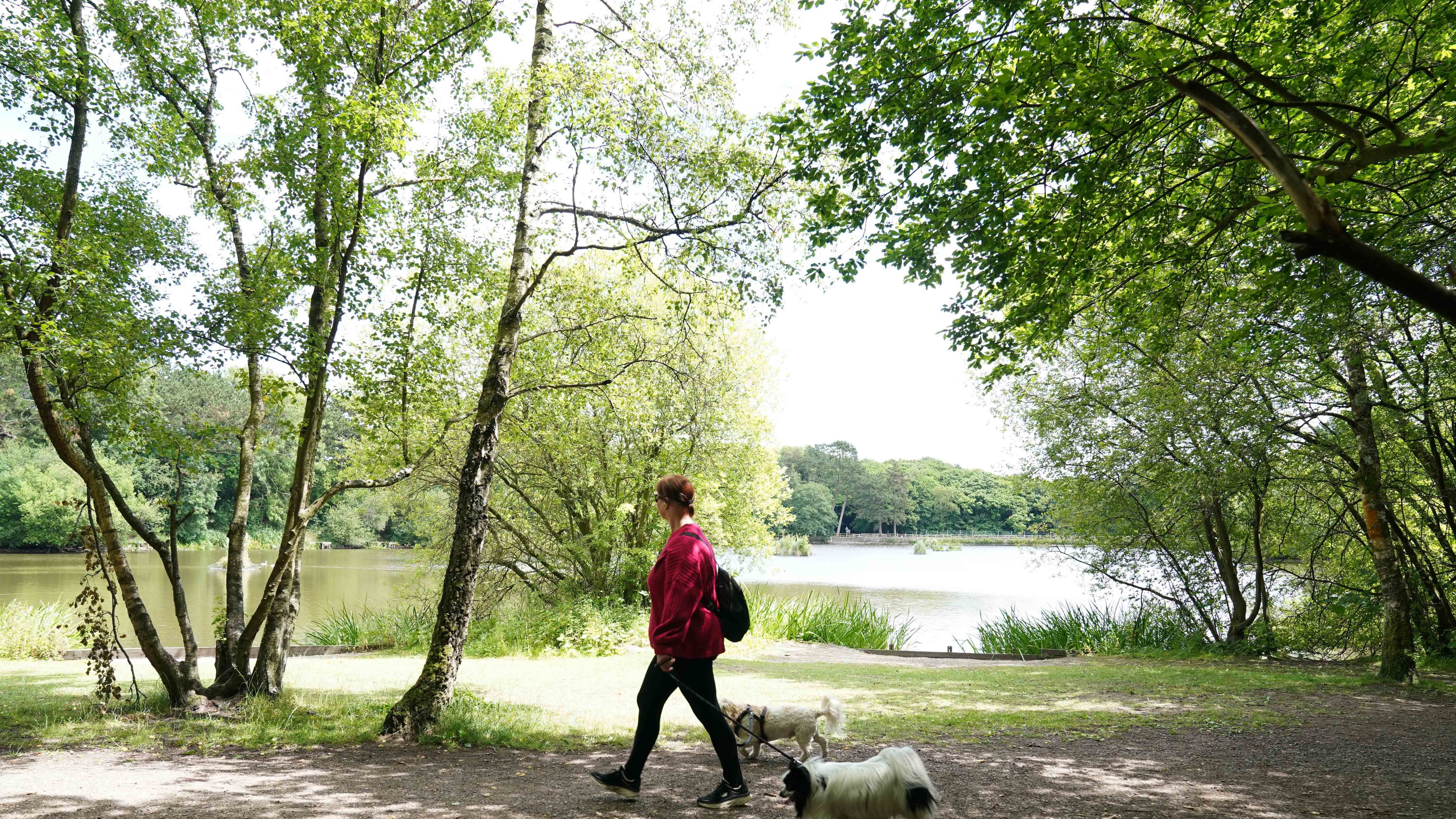Walking brings huge benefits for people with low back pain, a study has found