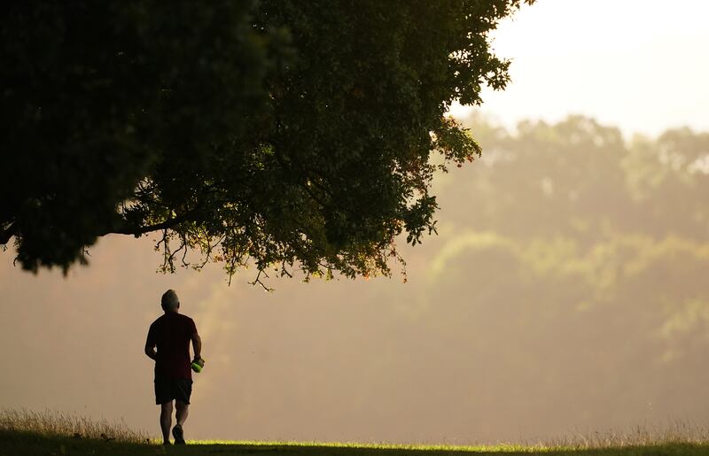 More and more people are able to track the number of steps they take each day, through a mobile phone, smart watch or similar device