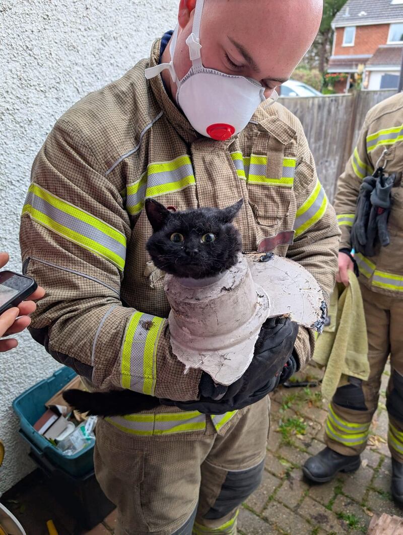 Fire crew from Avon Fire and Rescue Service were called to Clevedon where they rescued a black cat stuck inside a drainpipe (Clevedon Fire Station)