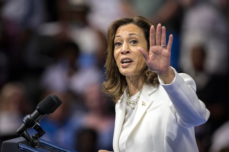 Democratic presidential nominee Vice President Kamala Harris (Stephen B Morton/AP)