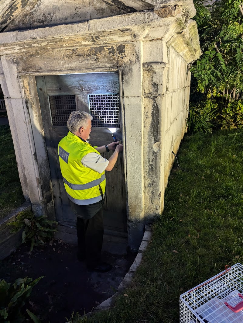 St Paul’s basements had not been opened for 25 years (RSPCA)