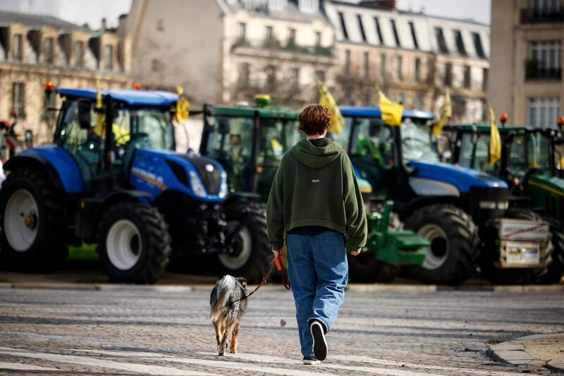 Farmers are demanding more government support and simpler regulations (Thomas Padilla/AP)