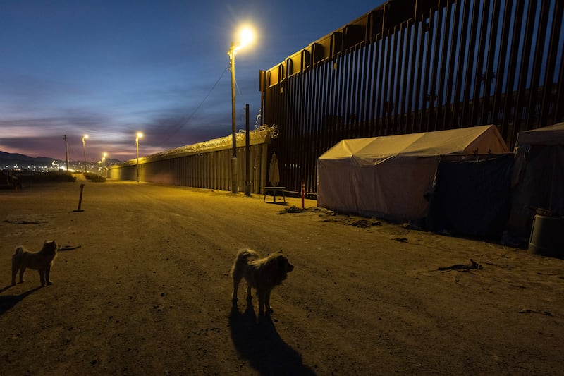 Dogs near a border wall separating Mexico from the US (Gregory Bull/AP)