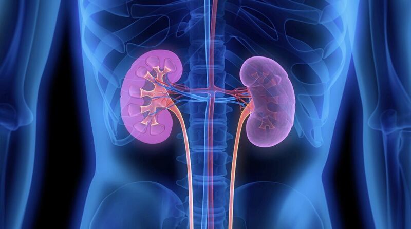 Your kidney function score measures how effectively the organ is able to filter 