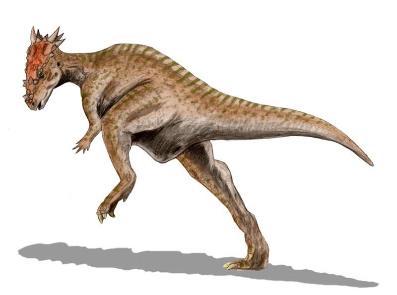 Dracorex Hogwartsia.