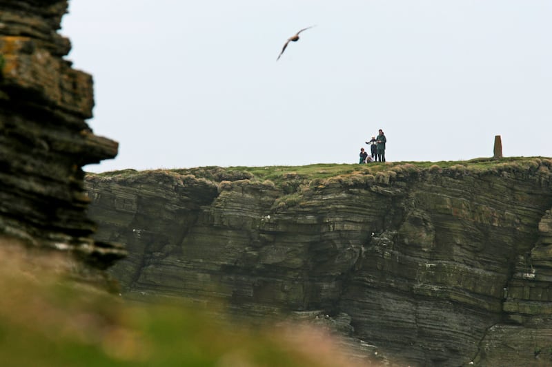 Team on a cliff top monitoring birds on Orkney