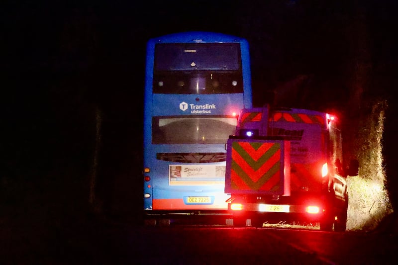 The scene in the Glenavy Road where a school bus hit a fallen tree. PICTURE: MAL MCCANN