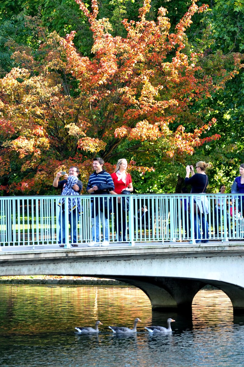 The Blue Bridge in London’s St James’s Park will be replaced as part of the project