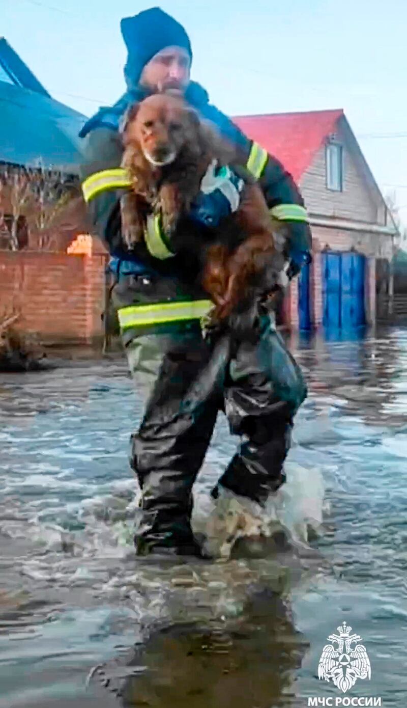 A Russian Emergency Ministry worker carries a dog during an evacuation of local residents in Orsk (Russian Emergency Ministry Press Service/AP)