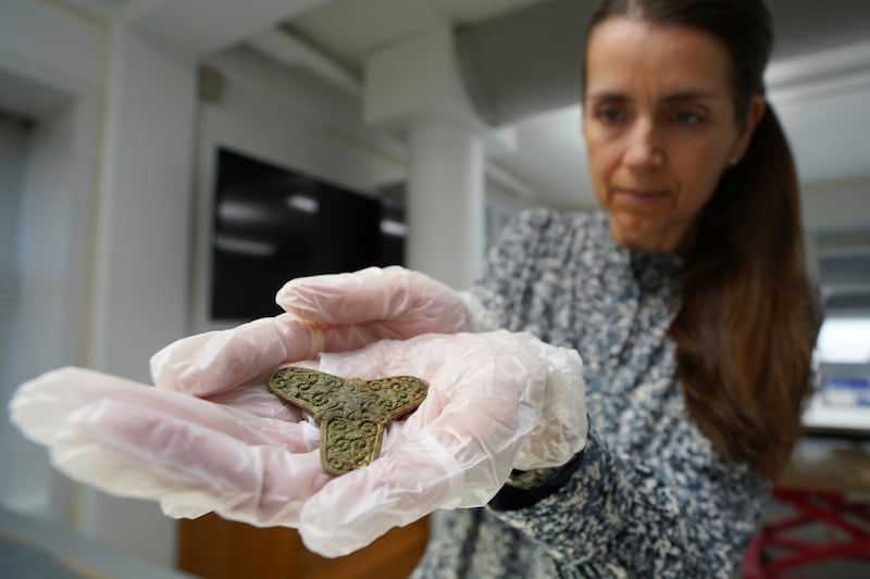 Brooches and other items were found (AP)