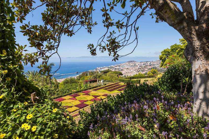 Famous Tropical Botanical Gardens in Funchal town, Madeira island, Portugal