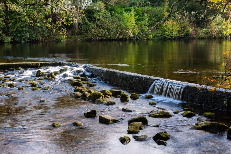 Ness Islands, Inverness