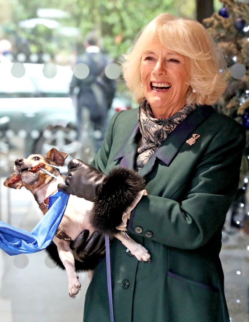 Beth helped the then-Duchess of Cornwall unveil a plaque on a visit to Battersea Dogs and Cats Home