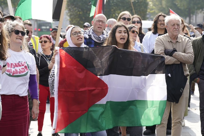 People during a pro-Palestine protest in Dublin