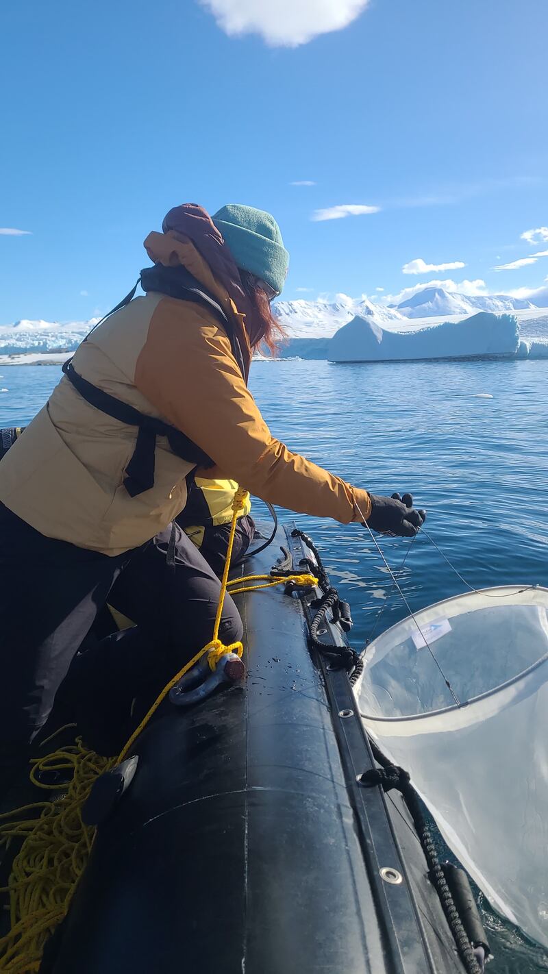 r Cait McCarry conducts krill research in Antarctica (University of Strathclyde)