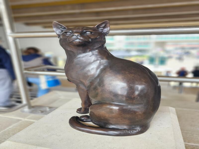 The statue of Pebbles the cat on campus at the University of Essex in Colchester.