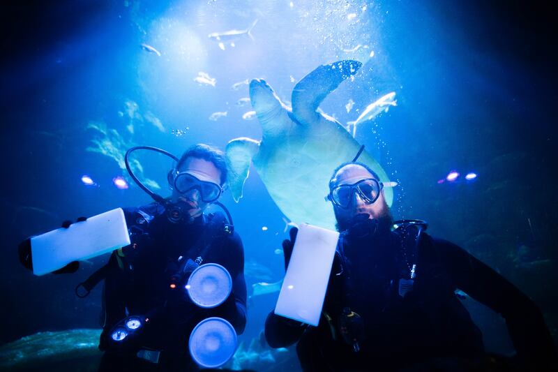 Aquarists clean windows at the Sea Life London Aquarium