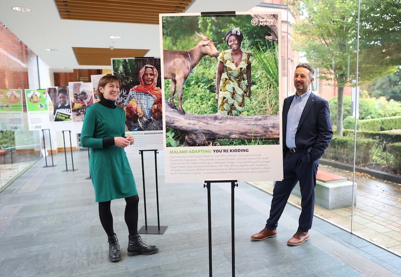 A photographic exhibition from global development charity Self Help Africa 'Africa Adapting' on display at the Institute for Global Food Security at the School of Biological Sciences, Chlorine Gardens, Queen's University Belfast on the 17th and 18th October 2024.
PICTURE COLM LENAGHAN