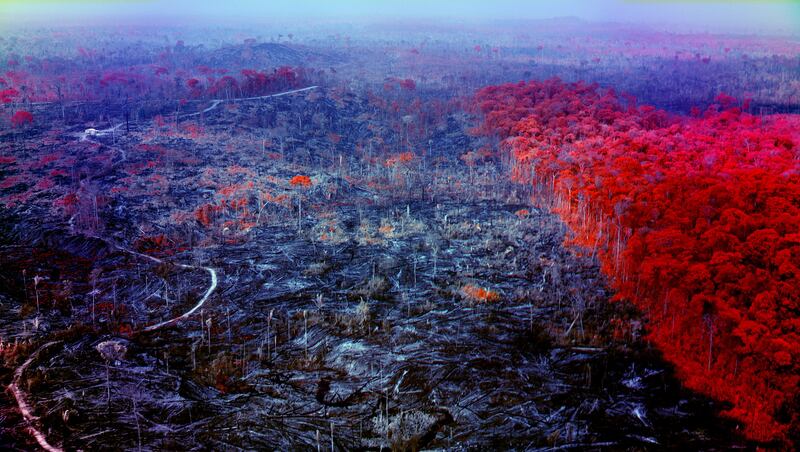 Still from Broken Spectre - Rondônia, Multispectral GIS aerial 02 by Richard Mosse. Courtesy of the artist and Jack Shainman Gallery, New York