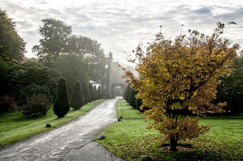 Rowallane Garden in Saintfield, Co Down, in autumn 