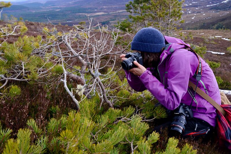 Dr Hobaiter takes photos of lichen under UV light.