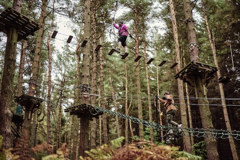 Zipit Forest Adventures in Tibradden Wood. 