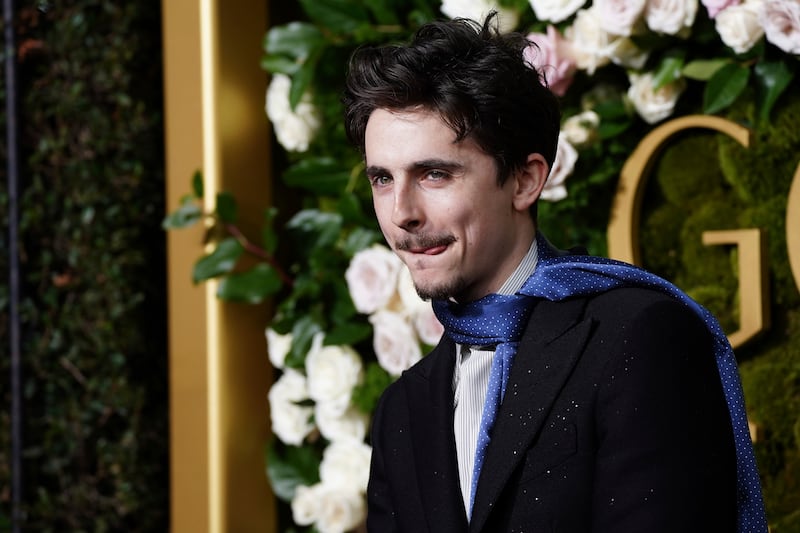 Timothee Chalamet at the 82nd Golden Globes in California (Jordan Strauss/Invision/AP)