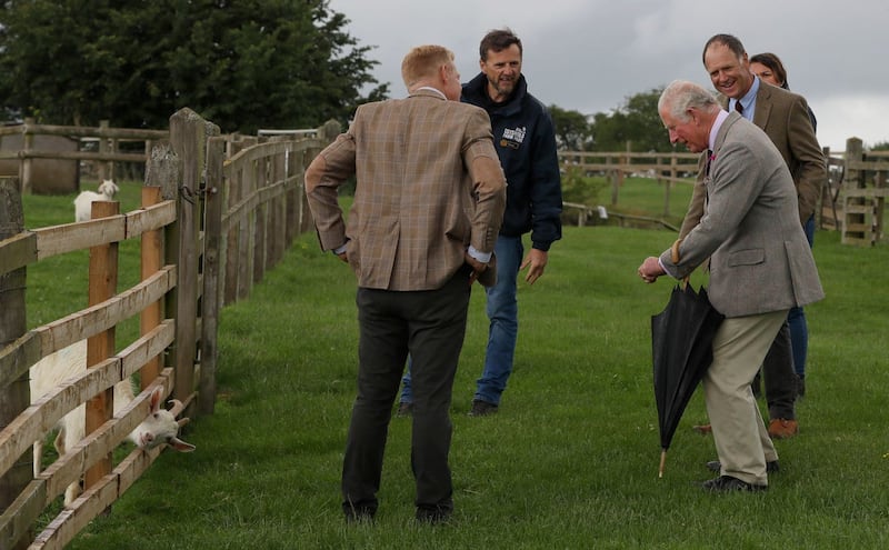 Charles told a story about a deer with its head stuck in a fence after seeing the goat in a predicament. Kirsty Wigglesworth/PA Wire