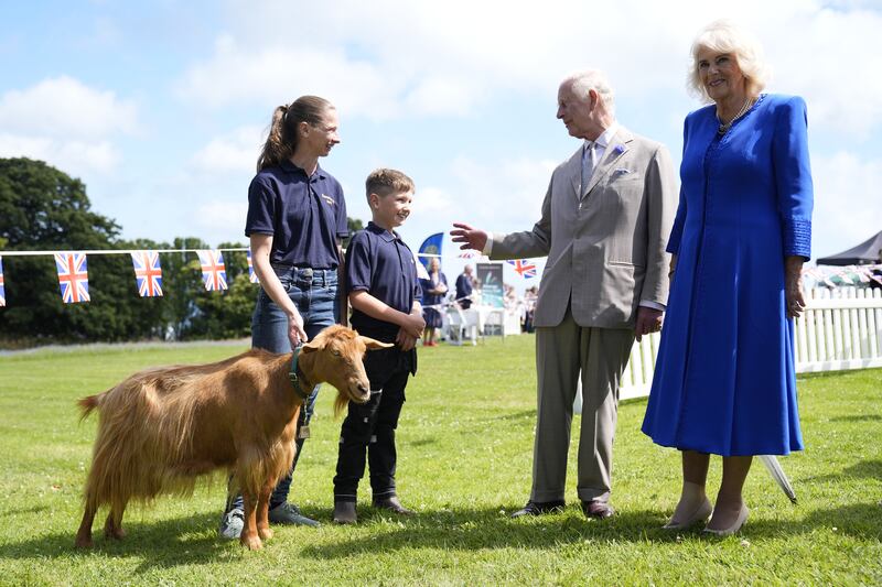 The King and Queen meet a rare Golden Guernsey Goat in Saint Peter Port, Guernsey on Tuesday