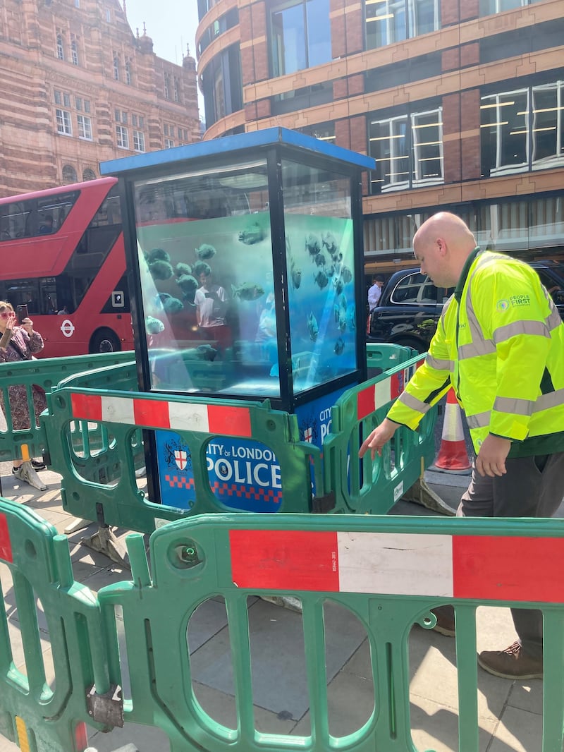 An artwork depicting piranhas on a police sentry box was removed from near London’s Old Bailey court to preserve it