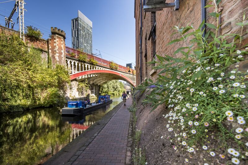 Canals connect urban settings with countryside habitats