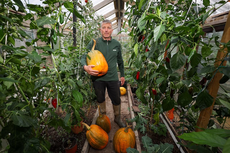 Paul Toner at his greenhouse at his home outside Crumlin, Antrim Council have told him to take down the greenhouse and existing garden sheds on the plot. PICTURE: MAL MCCANN