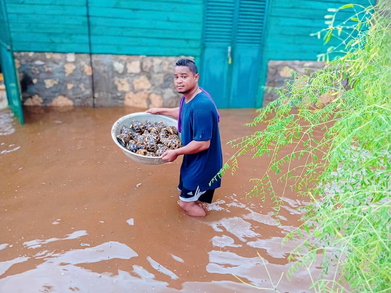 Flooding hit southern Madagascar because of Cyclone Dikeledi (Lavavolo Tortoise Centre via AP)