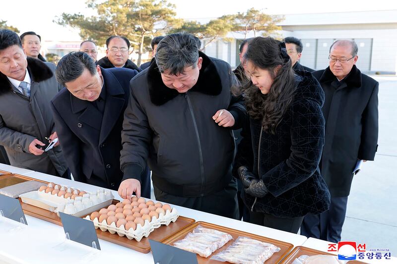 Mr Kim and daughter visited a newly-built chicken farm in Hwangju County (Korean Central News Agency/Korea News Service via AP)