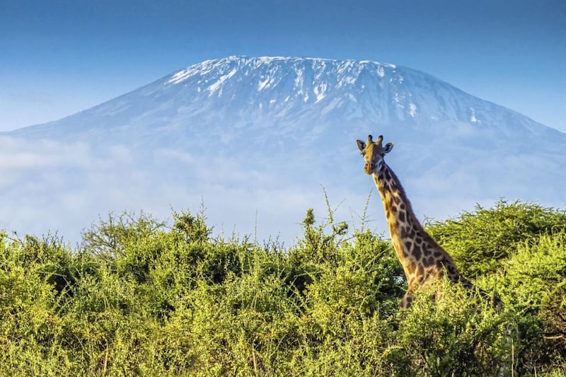 Kilimanjaro, the world's highest stand-alone mountain