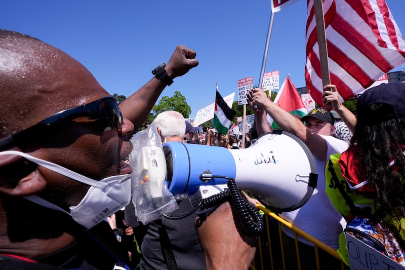 Protesters demonstrate at Union Park before a march to the Democratic National Convention (Alex Brandon/AP)